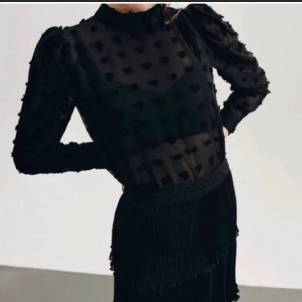 Zara semi sheer Swiss dot blouse Small